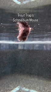 I’m more excited about this pattern than I have been about a mouse in a long time. It doesn’t look like anything special, but the way it casts, moves in the water, gets eaten, and sticks to fish is pretty special. | Trout Trap Flies
