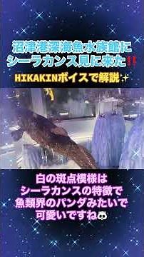 シーラカンスの迫力‼️世界でココしか見れない‼️リアルシーラカンス見に行こう✨#シーラカンス #水族館 #沼津港深海魚水族館 #あつもり #深海魚 #古代魚 #HIKAKINボイス#hikakin