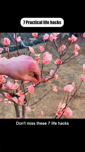 Essential Life Hacks for Everyday Efficiency