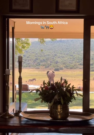 Lex | Travel Agent ✨ on TikTok