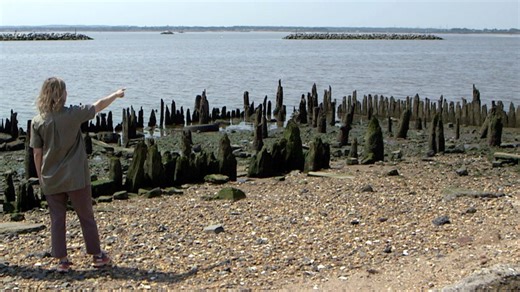 Landscape architect Kate Orff shares visionary goal of nature-based infrastructure