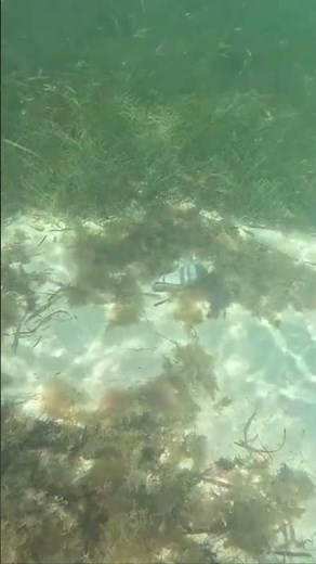 Descubriendo Cancún