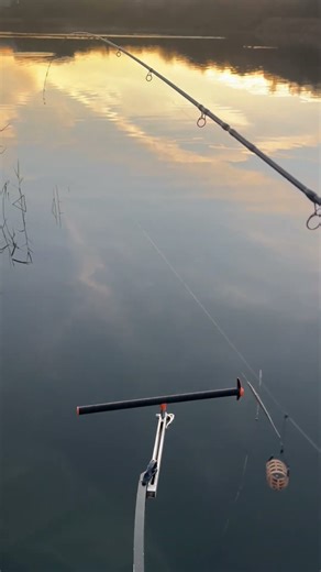 ❄️ WINTER FEEDER BASICS | THE SETUP