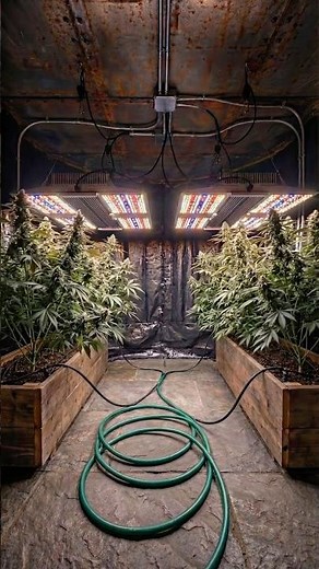 I built a hidden underground plant grow room beneath my backyard🍃