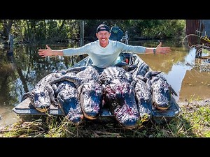 Hunting Gators with Local Cajuns in Louisiana