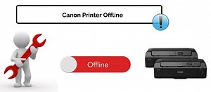 How to Troubleshoot Canon Printer Offline Error on Windows 10 - Windows Bulletin