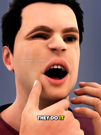 This Is What Actually Happens During a Root Treatment! #rootcanal #rootcanaltreatment #toothinfection #medicalvideo #dentaltok