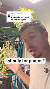 is lst only for photos? #photoperiod #autoflower #lst #gardening #mobuds314