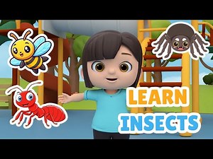 Let’s Learn About Insects | Fun Bug Learning for Kids | Hey Junior Kids