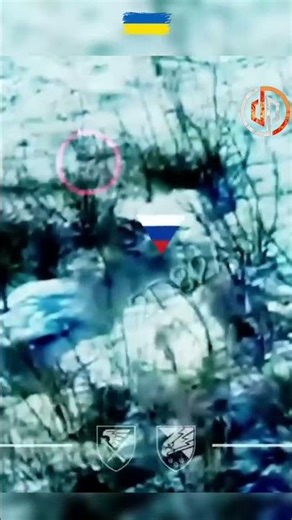 Mosquitoes rescue prisoners #Ukraine #UkraineWar