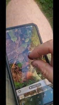 New Mouse 🐁 Table, attracts a???? answers in the comments please?