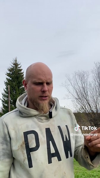 Лесная эстетика: Мишки и тайга