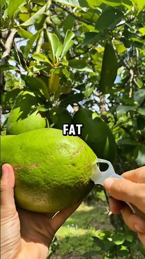 Fruits With the Most vs Least Nutrients 🍉🥑 #fitness