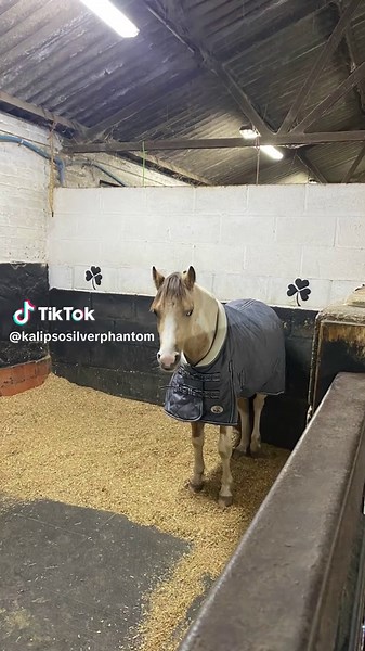 Happy Friday peeps (official Spring Day)!! Feeling blessed to have positive energy flowing!!