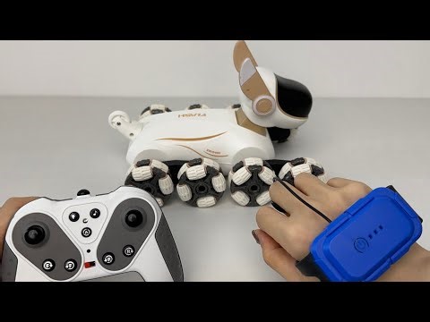 Unboxing Eight-Wheeled Remote Control Smart Robot Dog Car