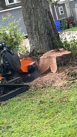 Grinding | National Stump Grinding | Facebook