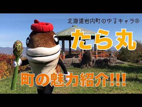 【ゆるキャラ®︎選手権準優勝！】北海道岩内町のたら丸が町中を駆け巡る！