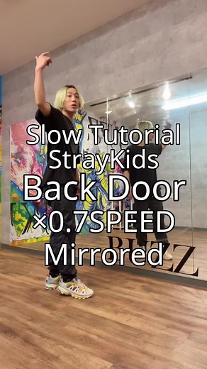 Slow Tutorial!! Stray Kids 'Back Door' Dance Mirrored