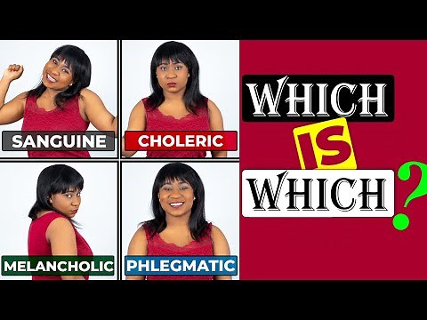 The 4 Temperaments: A Guide to Understanding Personality Types