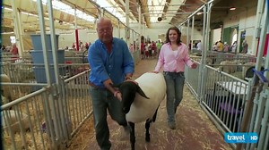 5.5K views · 101 reactions | That's a Good Sheep - Bizarre Foods with Andrew Zimmer | Bizarre Foods | Facebook