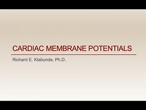 Cardiac Membrane Potentials