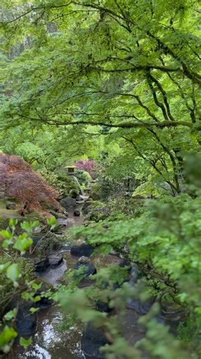 A spring stroll through Portland Japanese Garden. We hope that you have a wonderful week ahead! 🌿 #portlandjapanesegarden #oneminuteofserenity | Portland Japanese Garden