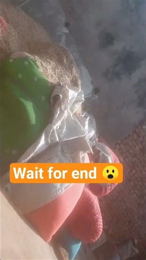 wait for end 😮 #shorts
