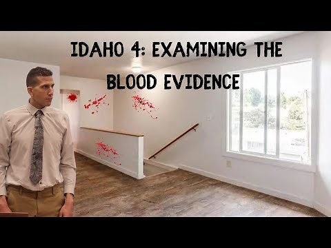 Idaho 4: Examining the Blood Evidence