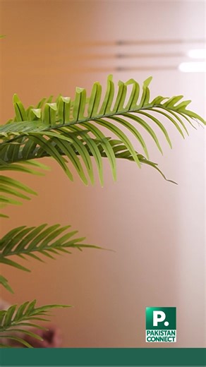 New CSS policies aim to make the exam more manageable for aspirants. Candidates will now appear in only one compulsory exam per day, and the upper age limit has been extended to 35, giving thousands a fresh opportunity. #PakistanConnect | Pakistan Connect