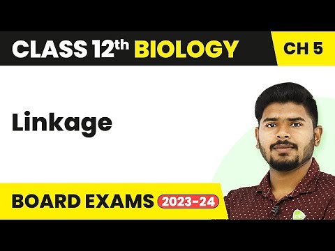 Linkage - Principles of Inheritance and Variation | Class 12 Biology (2022-23)