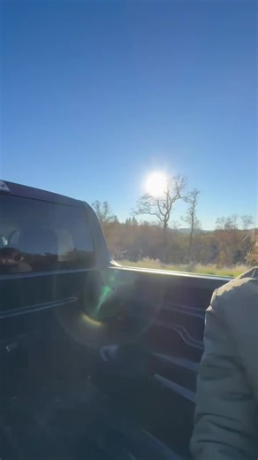 MR_CHIMPKIN (@mr_chimpkin)’s videos with original sound - AT