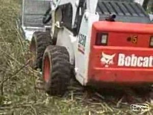 BUSHMASTER skid steer brush mower and tree cutter