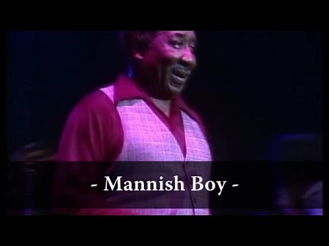 Muddy Waters - Mannish Boy (Live At Rockpalast)