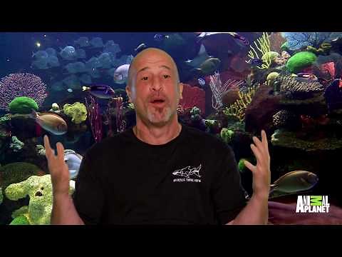 Leave It To Brett To Prank Himself... He's Locked Himself In His Office!