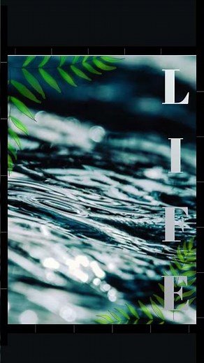 Life Aesthetic Nature Wallpaper | Inspirational Life Quote Design