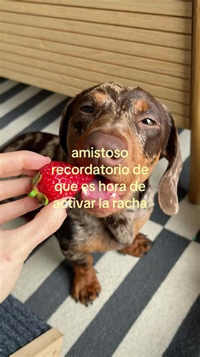 Activa la racha: cómo volver a tu racha de TikTok hoy