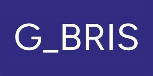 H.M. van der Steen Pensioen B.V. - 17011768 - G-BRIS