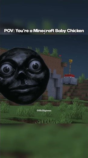 POV: You're a Minecraft Baby Chicken 3