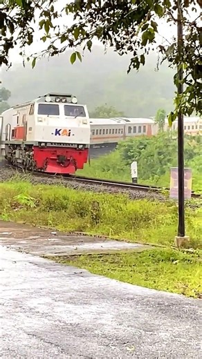 Wait for the LOUD Train Horn! 🚂🔊