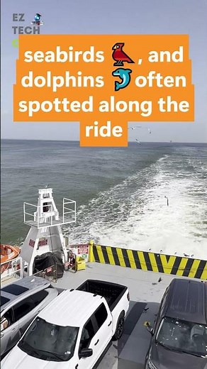 🌊 FREE Galveston-Port Bolivar Ferry Ride 🚢 seabirds 🐦 and dolphins 🐬 along the way, observation area