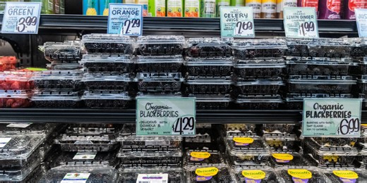 Opinion | A Biden Plan for Prices? No Thanks