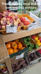 Here are today's produce offerings | Fresh Off The Farm