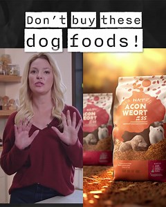 125 reactions · 25 shares |  What's REALLY hiding in your dog's food? When I see ‘meat’ on the label, I expect to get real meat, no? I had to become an expert at reading dog food labels because I was seeing SO many tricks in the pet industry. But now as the creator of Superfood Complete, I'm sharing what to look out for and what a good dog food should have for the best canine health. Get Superfood Complete now  lnk.to/BadlandsSurvey | Katherine Heigl | Facebook