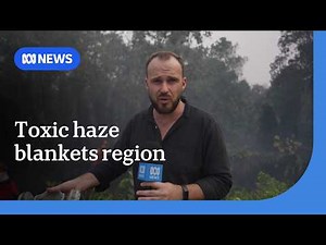 Fears 'super El Niño' will exacerbate toxic wildfires in Indonesia | ABC NEWS