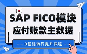 零基础入门SAP学习教程 FICO模块从入门到精通 应付账款主数据 小白入行SAP
