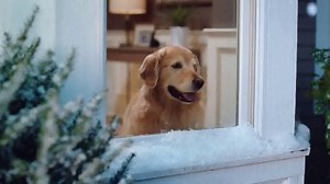 WeatherTech TV Spot, 'The Ultimate Winter Protection'