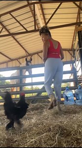 1.6M views · 96K reactions | He said it’s beef on the menu today  #farmlife | Itsjati | Facebook