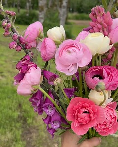 Flower People on Reels