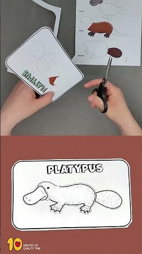 Build a Platypus Craft