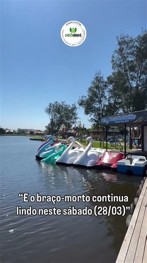 ⛲️🌳🦩🦜Se você gosta de ir ao braço-morto, curta, comenta e compartilha o vídeo.👏🏽🤩